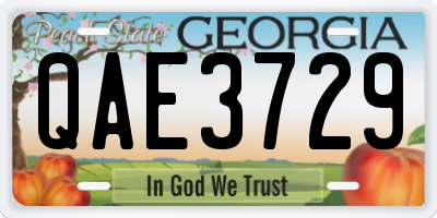 GA license plate QAE3729