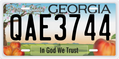 GA license plate QAE3744