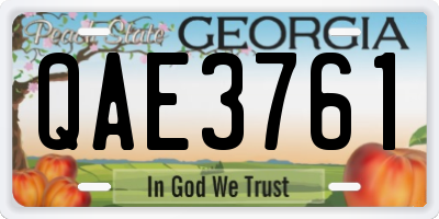 GA license plate QAE3761