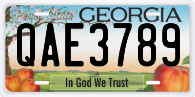 GA license plate QAE3789