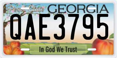 GA license plate QAE3795