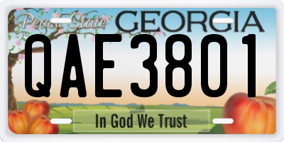 GA license plate QAE3801