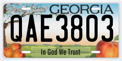 GA license plate QAE3803