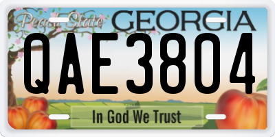 GA license plate QAE3804