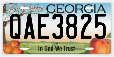 GA license plate QAE3825