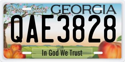 GA license plate QAE3828