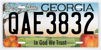 GA license plate QAE3832