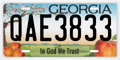 GA license plate QAE3833