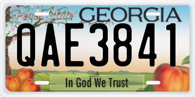 GA license plate QAE3841