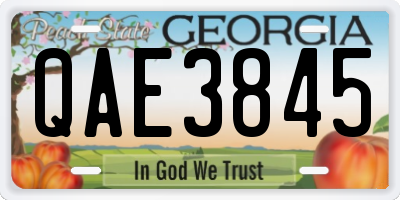 GA license plate QAE3845