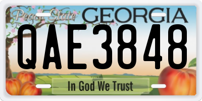 GA license plate QAE3848