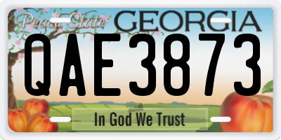 GA license plate QAE3873