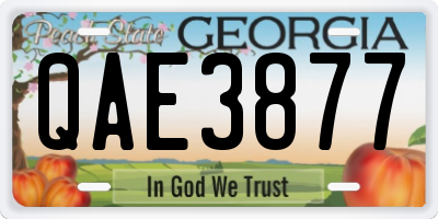 GA license plate QAE3877