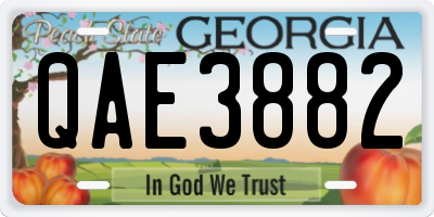 GA license plate QAE3882