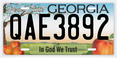 GA license plate QAE3892