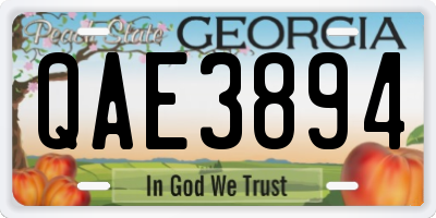 GA license plate QAE3894