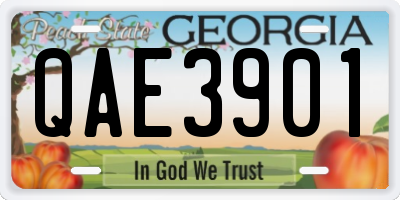 GA license plate QAE3901