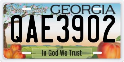 GA license plate QAE3902