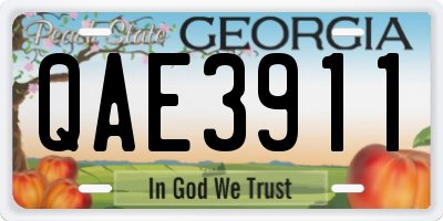 GA license plate QAE3911