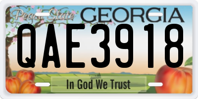 GA license plate QAE3918
