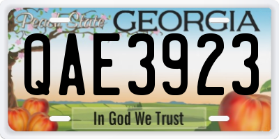 GA license plate QAE3923