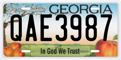 GA license plate QAE3987