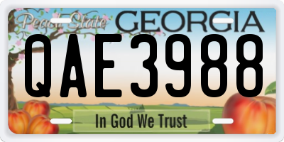 GA license plate QAE3988