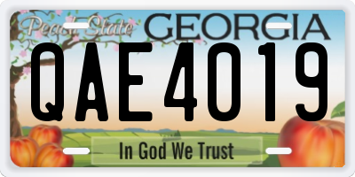 GA license plate QAE4019