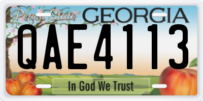 GA license plate QAE4113