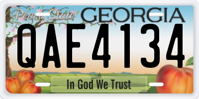GA license plate QAE4134