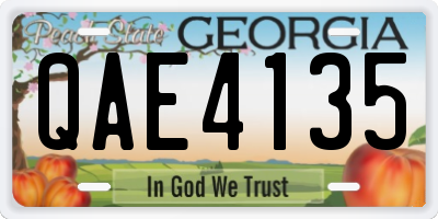 GA license plate QAE4135