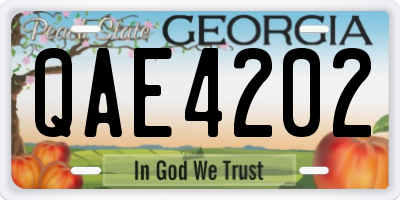 GA license plate QAE4202