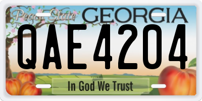 GA license plate QAE4204