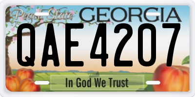 GA license plate QAE4207
