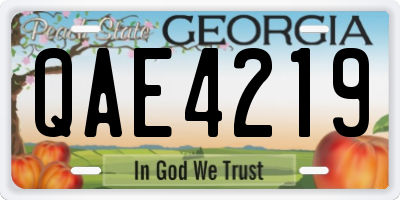 GA license plate QAE4219