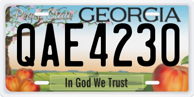 GA license plate QAE4230