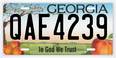 GA license plate QAE4239