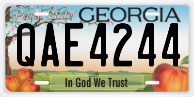 GA license plate QAE4244