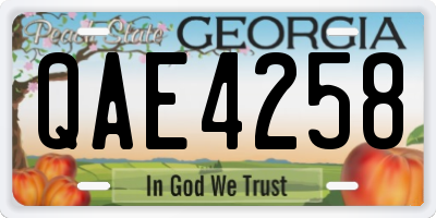 GA license plate QAE4258