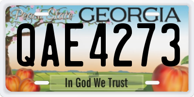 GA license plate QAE4273