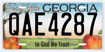 GA license plate QAE4287