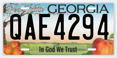 GA license plate QAE4294