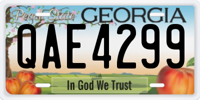 GA license plate QAE4299