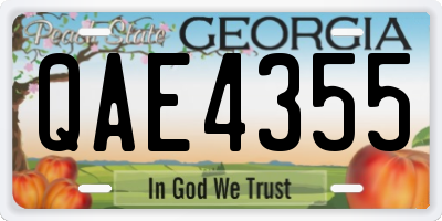 GA license plate QAE4355