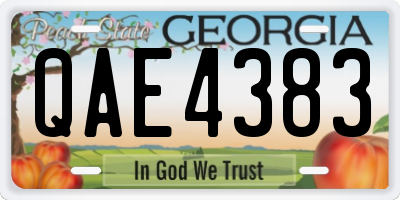GA license plate QAE4383