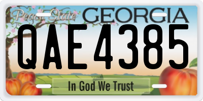 GA license plate QAE4385