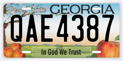 GA license plate QAE4387