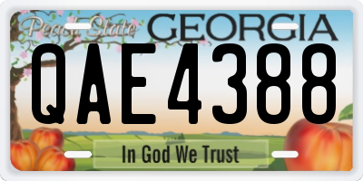 GA license plate QAE4388