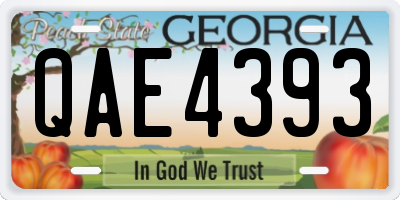 GA license plate QAE4393