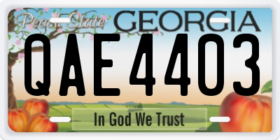 GA license plate QAE4403